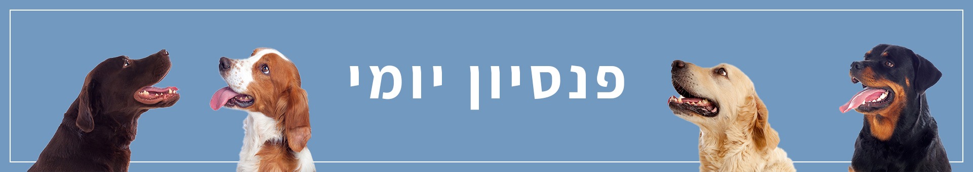 פנסיון-יומי